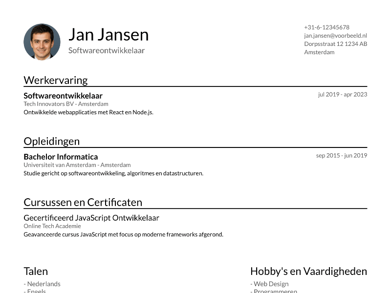 Minimalistische Pro CV-template voorbeeld